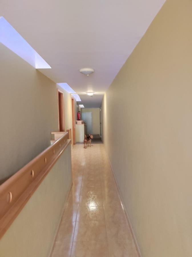 San Sebastián de la GomeraApartamento 35 La Laderaアパートメント エクステリア 写真